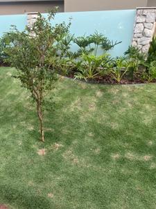 Fazenda em Ivinhema - MS